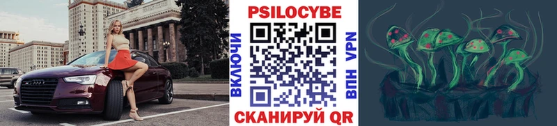 Псилоцибиновые грибы прущие грибы  Купить  Гвардейск 